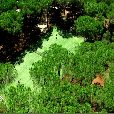 Отель Dei Pini 4*