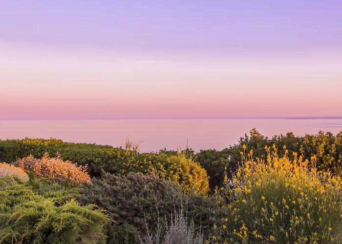 Dei Pini 4* Fertilia